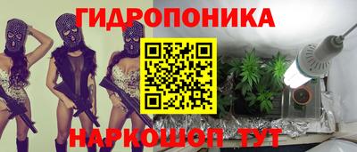 гашик Тара