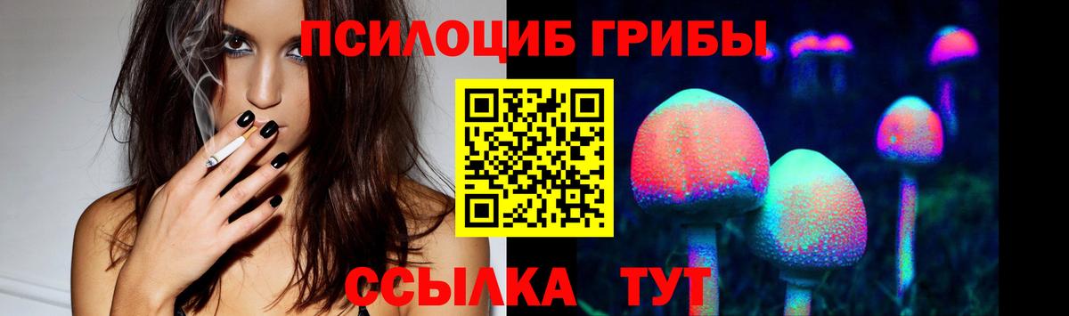 Галлюциногенные грибы Cubensis Надым